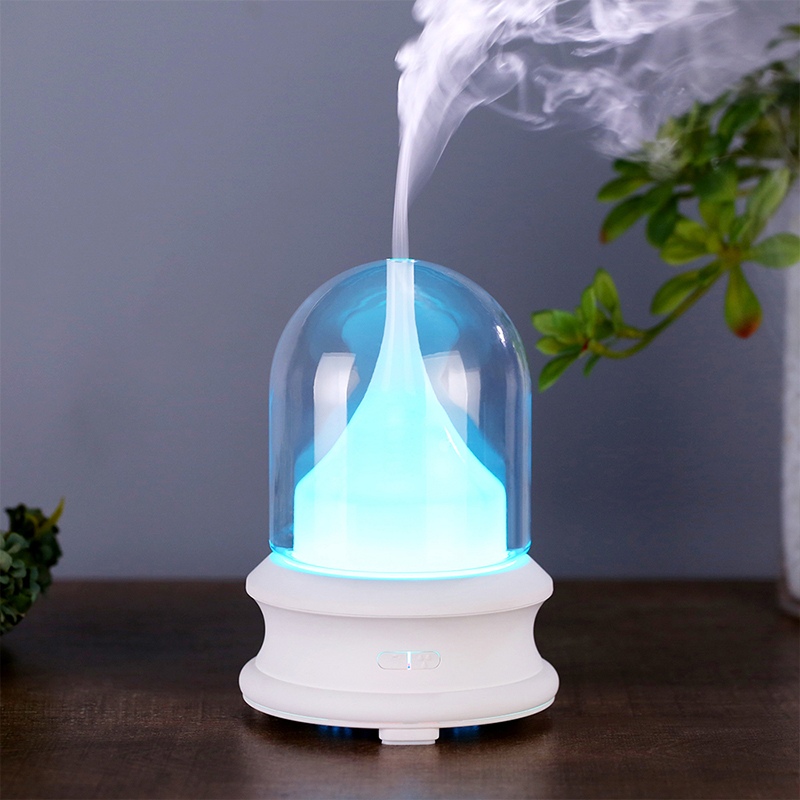 The Rise of Personalized Scent How Customizable Diffusers Are Winning the Market